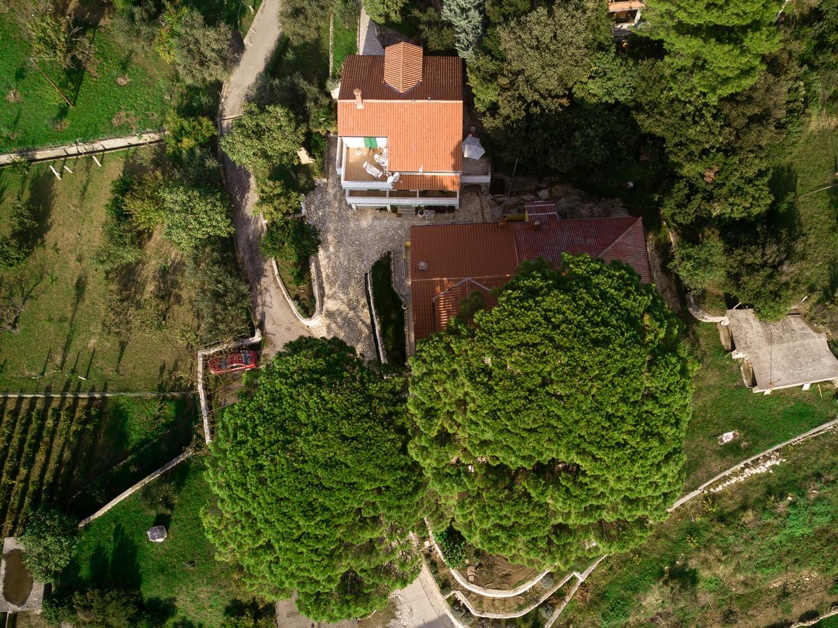 Lucija Daire Kampor Dış mekan fotoğraf